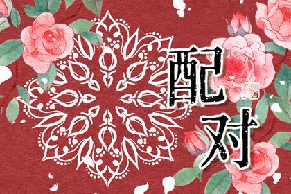 属相婚配：民俗辅助视角