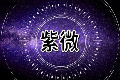 在线排盘看什么